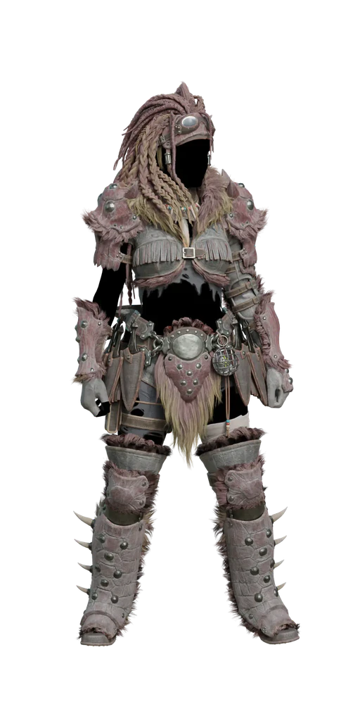 Conga α armor set, presentation art